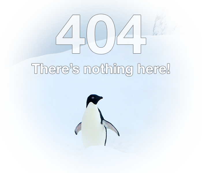 404 Picture: There's nothing here!